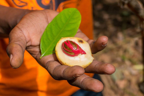 Isla de la Prisión, Visita a la Granja de Especias, Clase de Cocina con Almuerzo