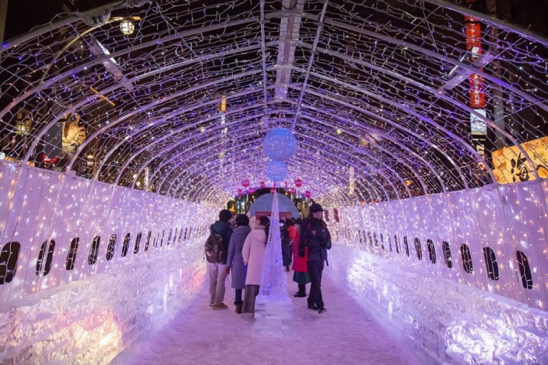 Sapporo: Private Car Tour with English/Japanese Guide & Car