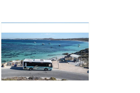 Rottnest Island Seals, Sunset & West End Bus Tour