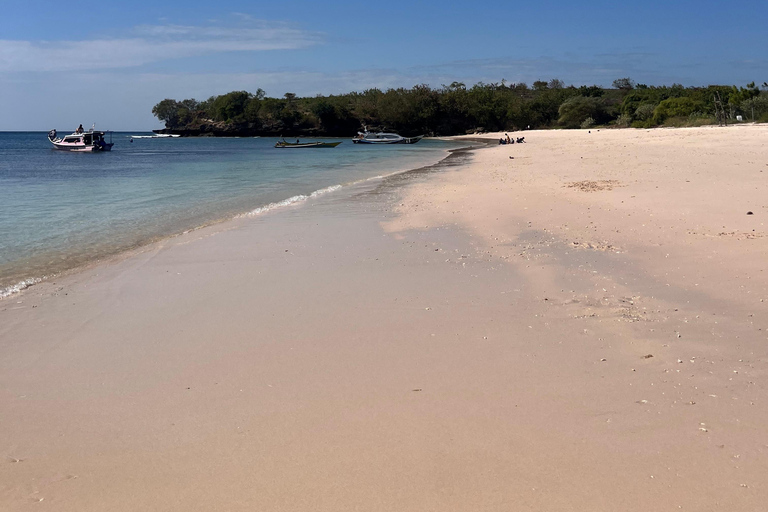 Lombok: pink beach snorkling trip with hotel pick up 2 Lombok: snorkling trip pink beach and explore pink beach