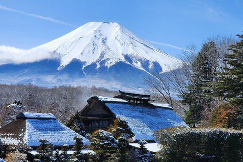 Tokio: Monte Fuji y Hakone Tour privado de 1 día