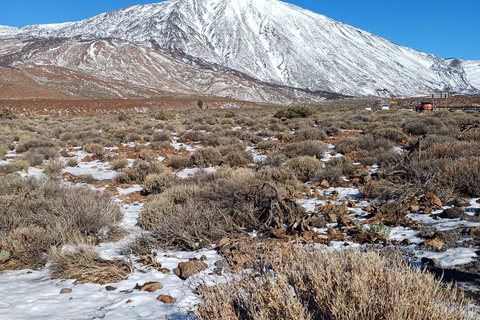 Private tour Tenerife: Teide National Park + Restaurant