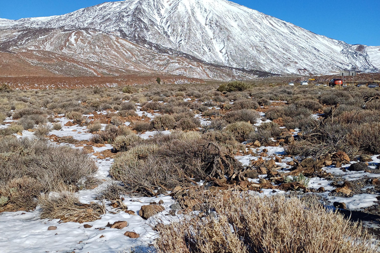 Private tour Tenerife: Teide National Park + Restaurant