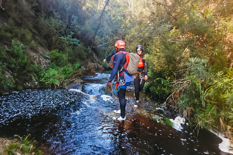 Plettenberg Bay: Canyoning Trip Plettenberg Bay: Standard Canyoning Trip