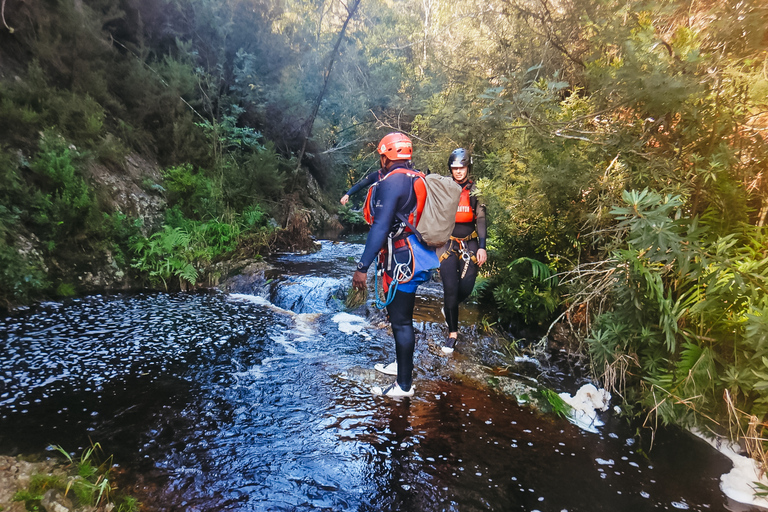 Plettenberg Bay: Canyoning Trip Plettenberg Bay: Standard Canyoning Trip