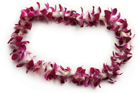 Oahu: Salut traditionnel Lei de l'aéroport d'Honolulu (HNL)Voeux d'orchidée classique Lei