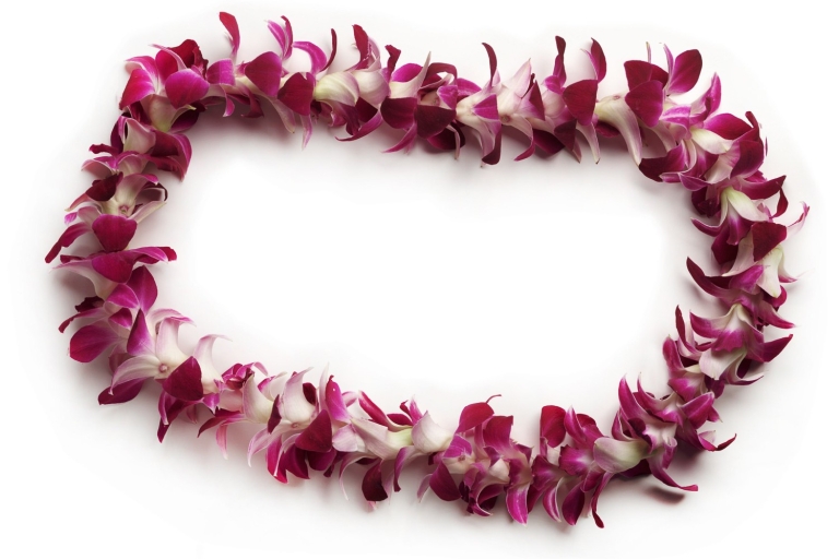 Oahu: Flughafen Honolulu (HNL) Traditioneller Lei-GrußFeuerpalmen-Lei-Begrüßung