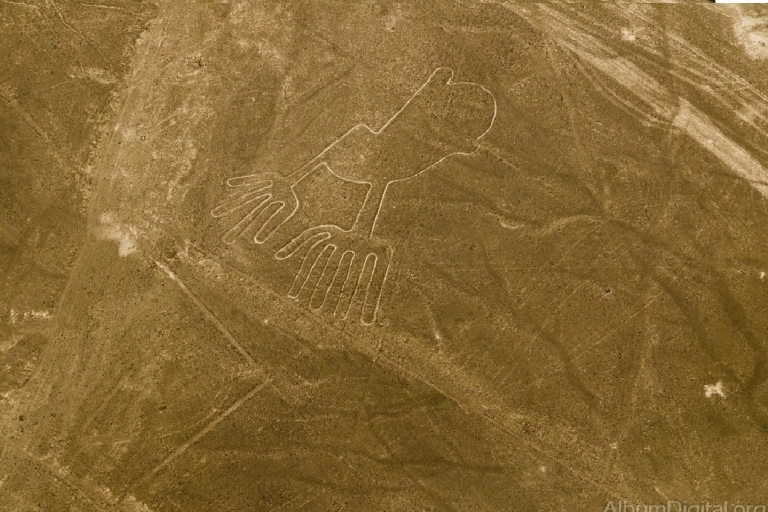 depuis le port de pisco ou de san martin : Vol des lignes de Nazca