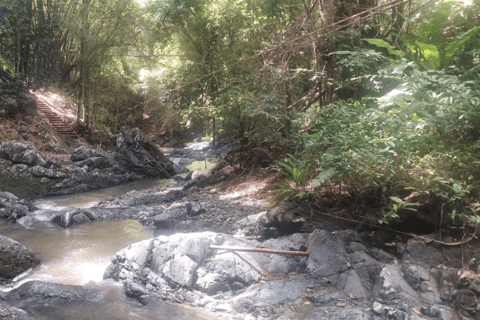 Tobago: Argyle Waterfall Tour with Hotel Pickup