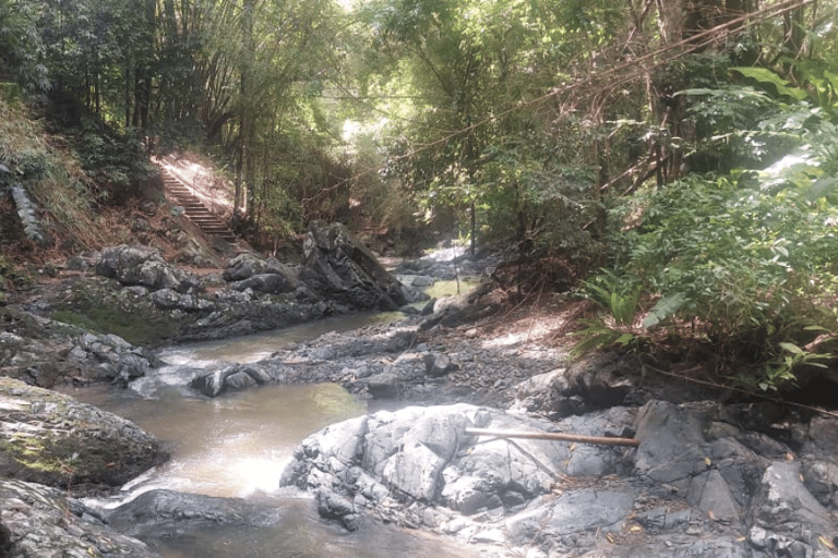 Tobago: Argyle Waterfall Tour with Hotel Pickup