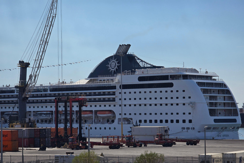 Cape Town: Cruise Passengers sunset Safari & Wine Tour
