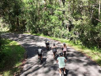 Noosa: E-Bike Tour from Mt Tinbeerwah to Noosa