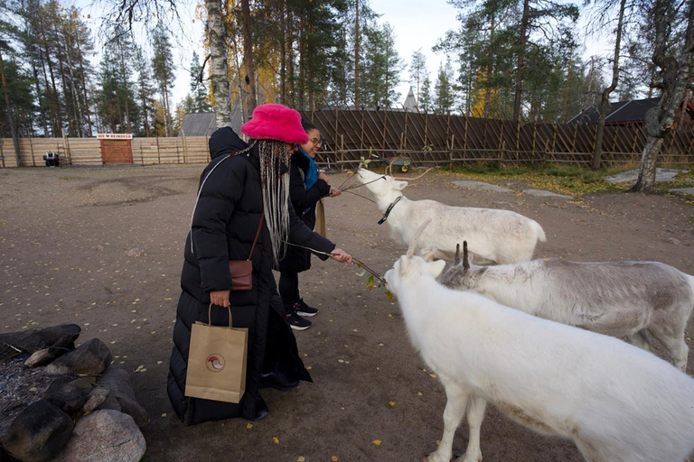 Rovaniemi: Santa's Day with Reindeer Moments & Snowman Magic