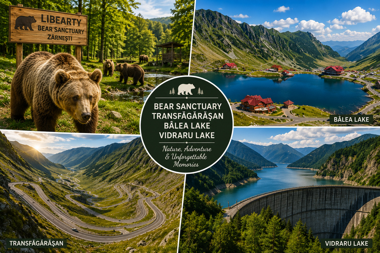 From Brasov: Bear Sanctuary, Transfăgărășan & Bâlea Lake From Brasov: Bear Sanctuary, Transfăgărășan & Bâlea Lake