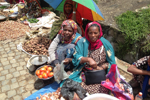 Addis Abeba: 4-dniowa wędrówka i wycieczka po nizinach Axum, Simien i Limalimo