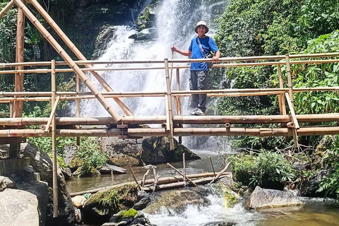 Chiang Mai: Doi Inthanon National Park & Elefantenschutzgebiet