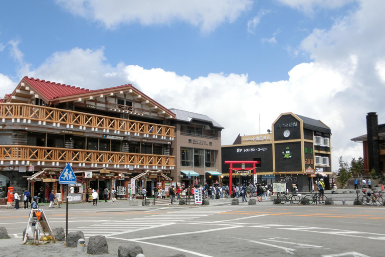 Tokyo: Mt Fuji Customizable Tour with Lakes & Pagoda
