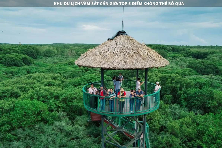 Ciudad Ho Chi Minh: Excursión de un día a la Isla de los Monos de Can Gio con almuerzo