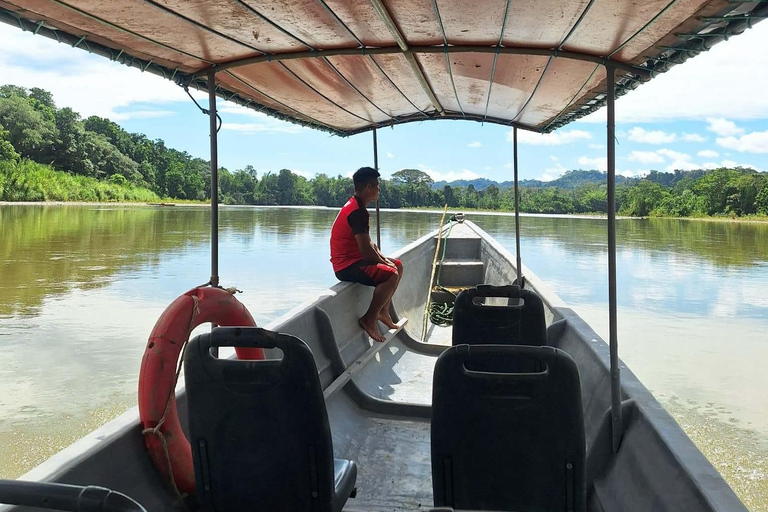 Excursión de 4 días por la selva Expedición Amazonia Todo Incluido