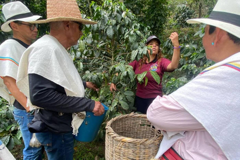 Bogotá: Choachí Farm-to-Cup Coffee Day Trip with Cupping