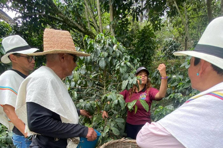 Bogotá: Choachí Farm-to-Cup Coffee Day Trip with Cupping