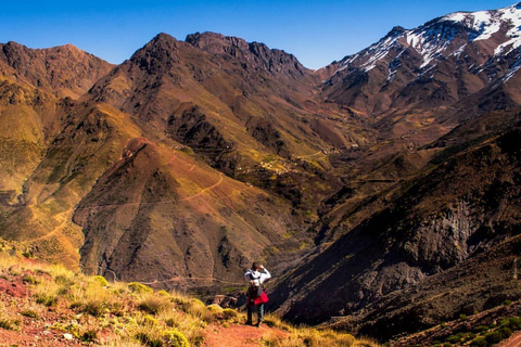 Marrakech: Atlasbergen topptur dag vandring 2700m