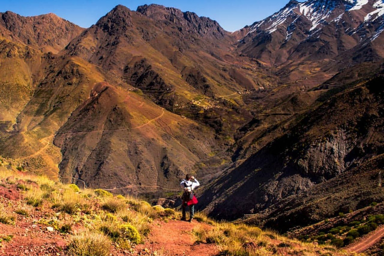 Marrakech: Atlasbergen topptur dag vandring 2700m
