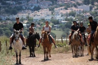 Icmeler Horse Riding Through The Rivers and Forest - Housity