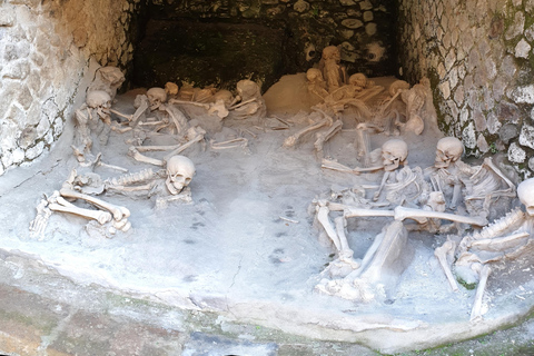 Pompeii: Private Guided Tour with Herculaneum – 3 Options Pompeii Herculaneum & Naples