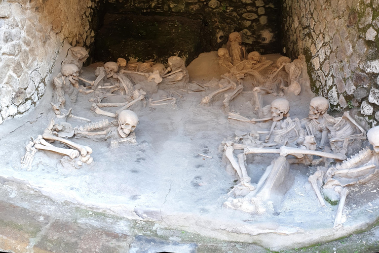 Pompeii: Private Guided Tour with Herculaneum – 3 Options Pompeii Herculaneum & Naples