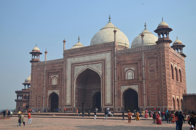 Taj Mahal: Rondleiding met voorrangstoegangService in Agra: Alleen professionele gids