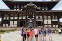 Nara, halbtägiges UNESCO-Erbe und lokale Kulturwanderung - Housity