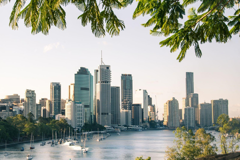 Brisbane Uncovered Walking Tour