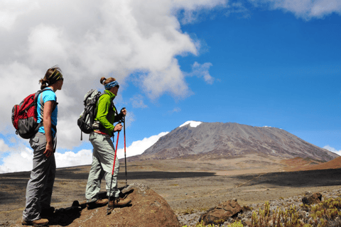 8 Dagen Beklim de Kilimanjaro via de Lemosho Route