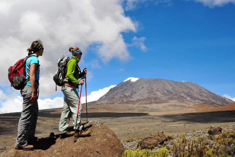 8 Dagen Beklim de Kilimanjaro via de Lemosho Route