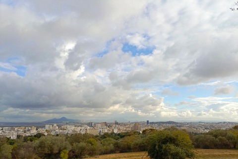 Betaal-wat-je-kunt tour Tunis