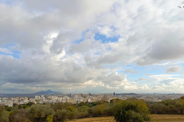 Visita &quot;paga lo que puedas&quot; Túnez