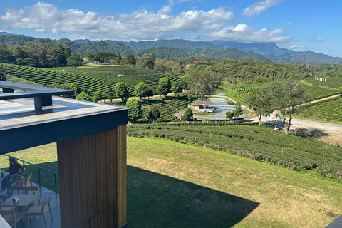 JOIN TOUR 1 day trip around Chiang Rai included lunch buffet