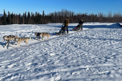 Fairbanks: 2 Hour Basic Dog Mushing School