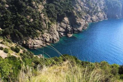 Portofino Park: Geführte Öko-Wanderung & Verkostung mit Meerblick