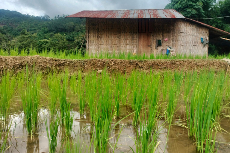 Vang Vieng | Unseen Na Khae Village Trip (Hmong Village)