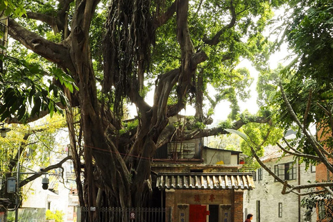 Guangzhou: Dragon Boat Festival Cultural Tour With Transport