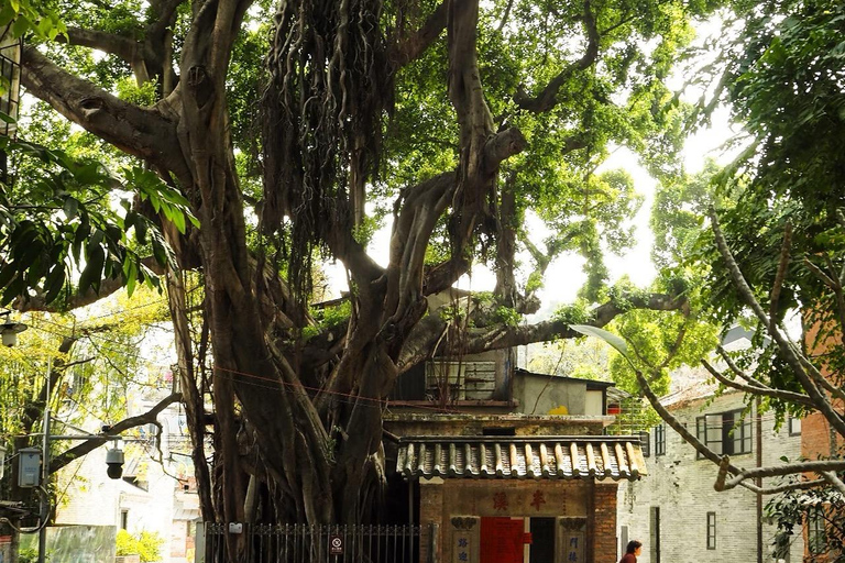 Guangzhou: Dragon Boat Festival Cultural Tour With Transport