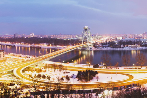 Excursion hivernale d'une journée : de Vienne à Bratislava en bus et en bateauVisite en anglais