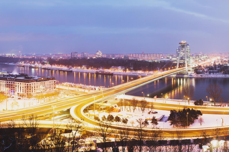 Excursion hivernale d'une journée : de Vienne à Bratislava en bus et en bateauVisite en anglais