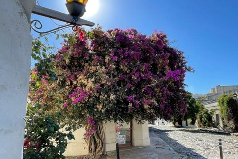 Colonia del Sacramento Private Stadtführung mit Käse- und WeinverkostungPrivater Rundgang durch Colonia del Sacramento mit Käse- und Weinverkostung