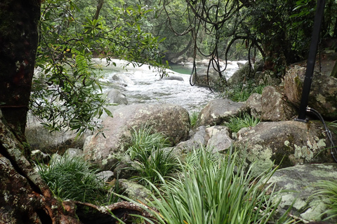 Cairns: Visita guiada por la selva tropical, la costa y los lugares emblemáticos