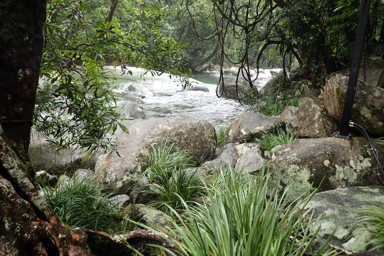 Cairns: Rainforest, Coastline and Landmarks Guided Tour