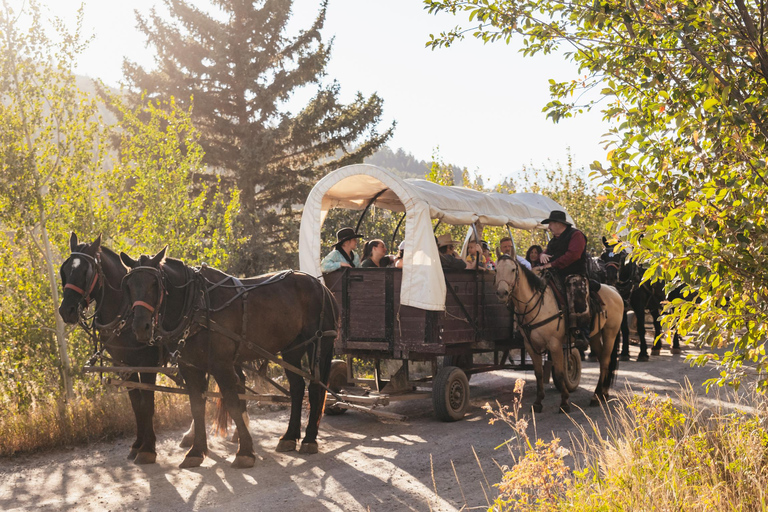 Jackson: Chuck Wagon Cookout and Live Show