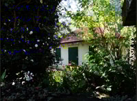 Salaozy”，瀑布马戏团，星期日 - Housity